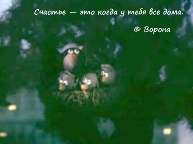 Известные цитаты из любимых мультфильмов (42 картинки)