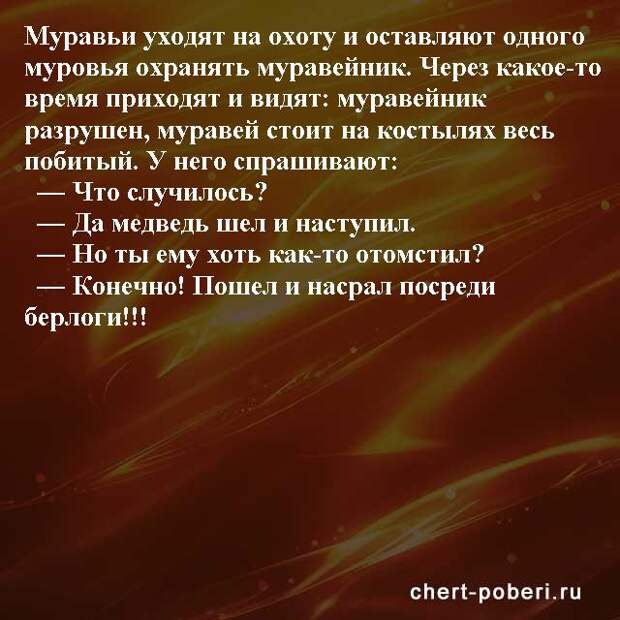 Самые смешные анекдоты ежедневная подборка chert-poberi-anekdoty-chert-poberi-anekdoty-28270203102020-20 картинка chert-poberi-anekdoty-28270203102020-20