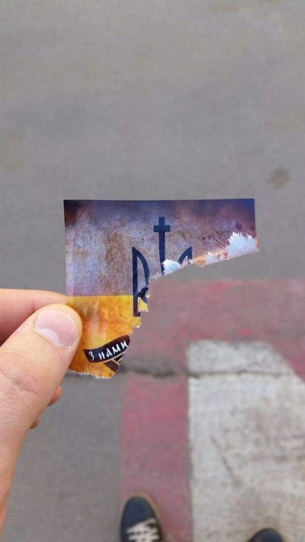 наци2