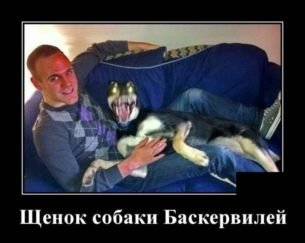 www.vsyako.net