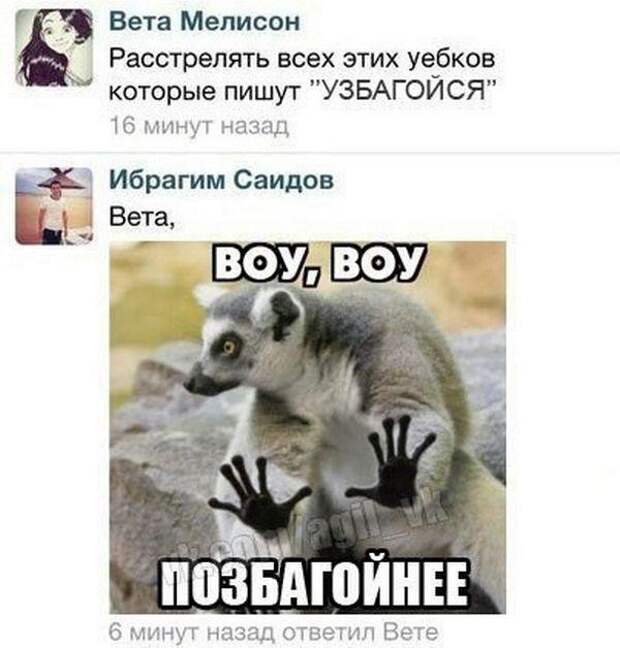 14.  картинки, комментарии, надписи, прикол, соц сети, юмор