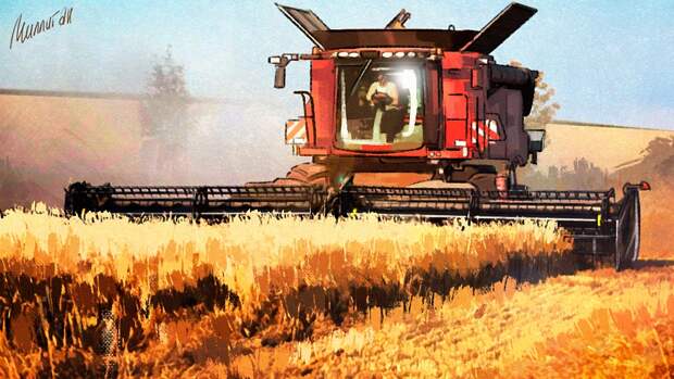 Немецкий фермер рассказал, как санкции помогли аграриям России превзойти Германию