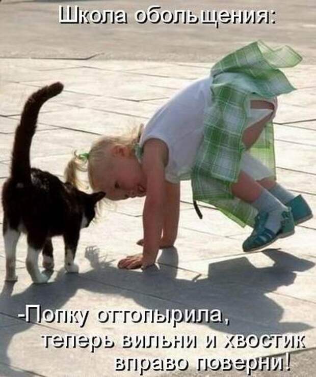 Мысли вслух :)