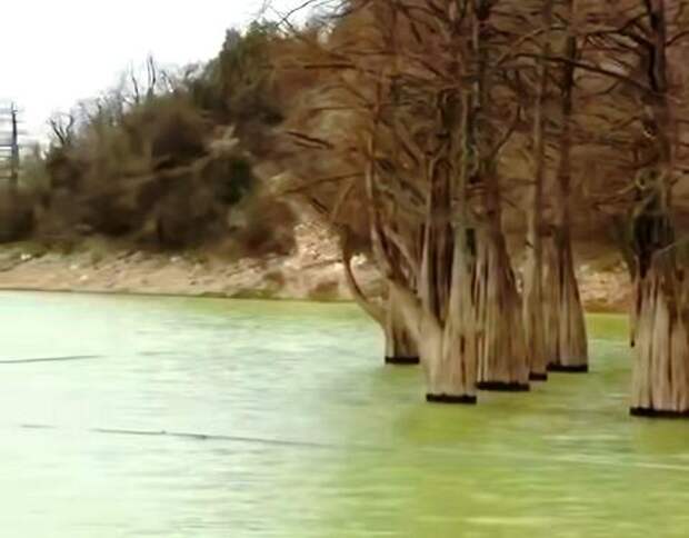 Кипарисовое озеро под Анапой не погибло