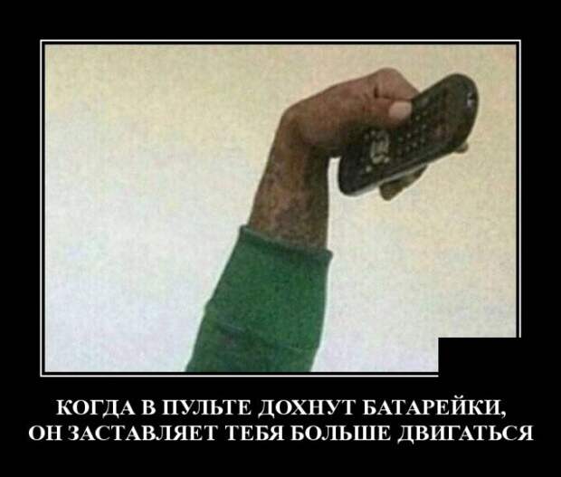 Демотиваторы (30 фото)