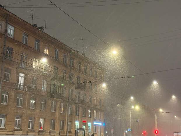 Циклон «Фрэнсис» накрыл Петербург снегом и изменил расписание рейсов в Пулково