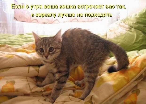 Мысли вслух :)