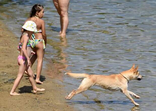 Известны три пляжа в Анапе, которые откроют этим летом