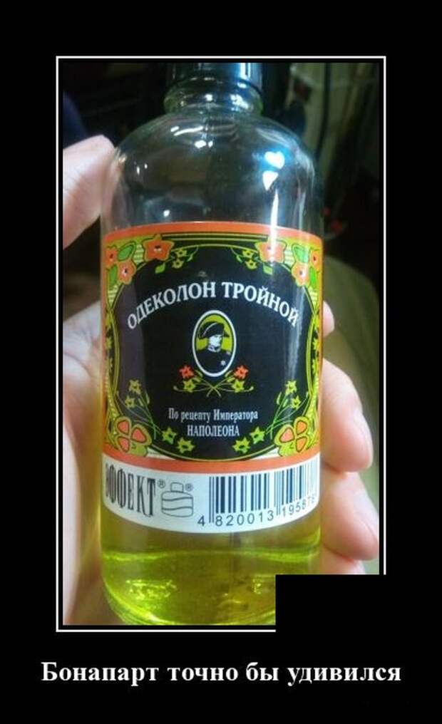 Демотиватор про Наполеона
