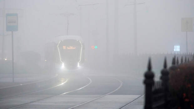 Туман накроет Московский регион до утра понедельника – МЧС