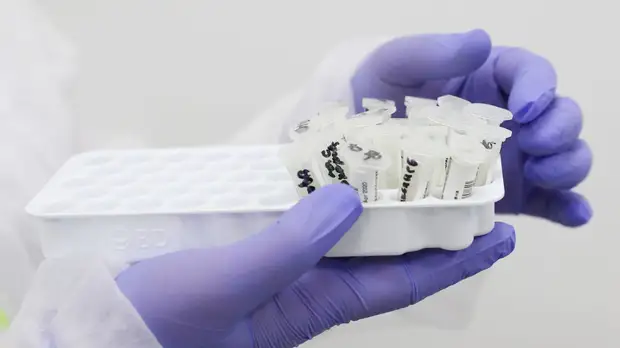 В Алтайском крае за сутки выявили 47 случаев заражения коронавирусом