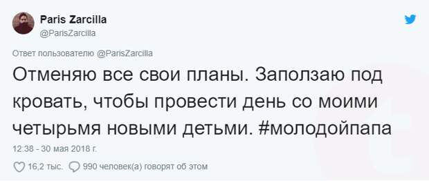 Парень нашел под кроватью кошку и новорожденных котят, хотя питомцев у него не было!