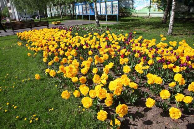 Собянин накануне Дня города осмотрел новые объекты на ВДНХ