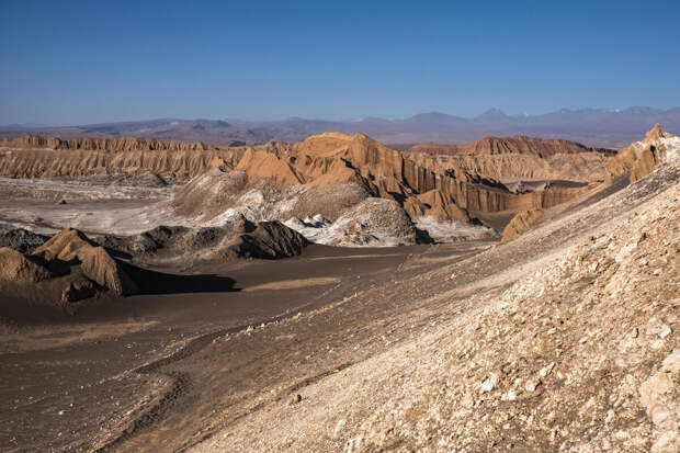 NatCom: в пустыне Атакама под поверхностью формируются разнообразные экосистемы