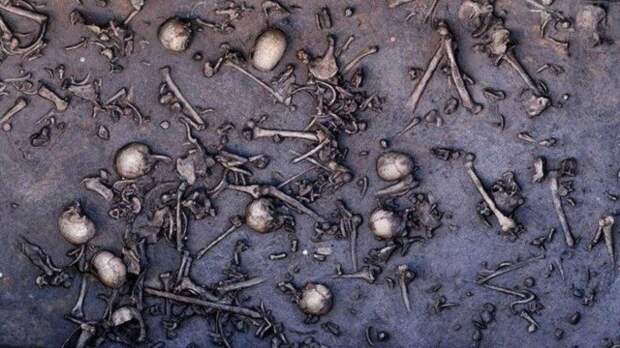 Забытая битва Бронзового века. Мумии и скелеты история, мумии, наука, скелеты