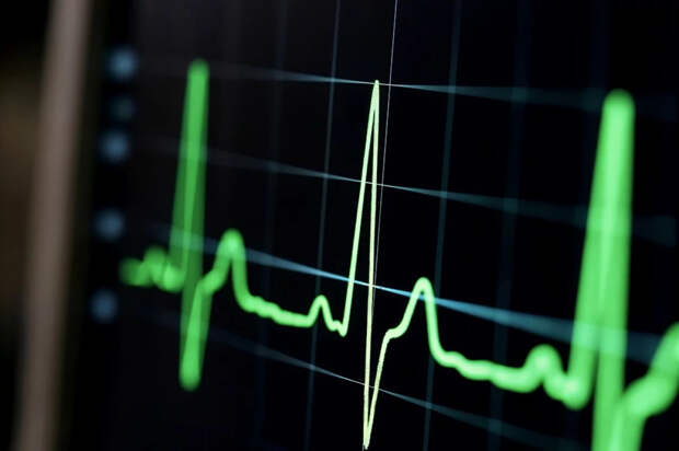 Science: сокращения сердца могут подавлять рост раковых клеток