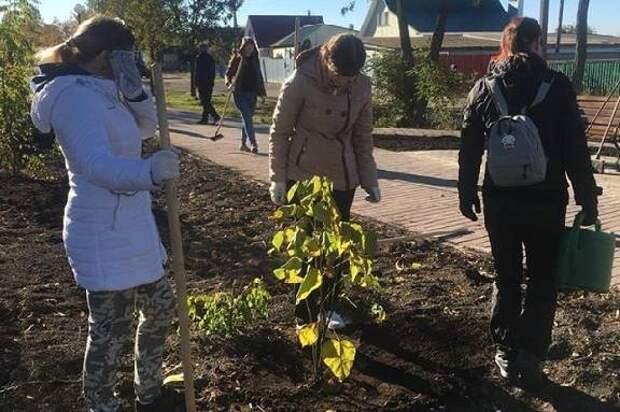 Парк детства рассказово