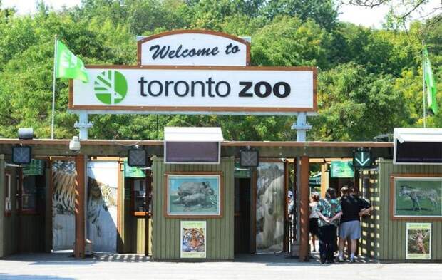 Самые лучшие зоопарки в мире