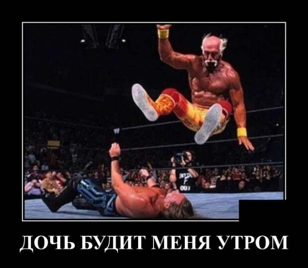 Демотиваторы (30 фото)