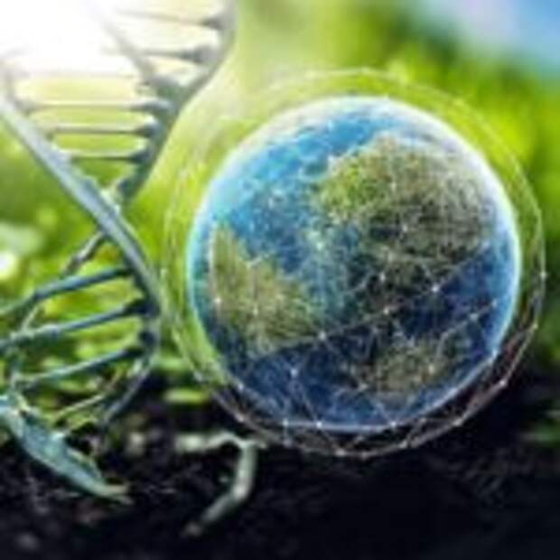 Биоэкономика для человека