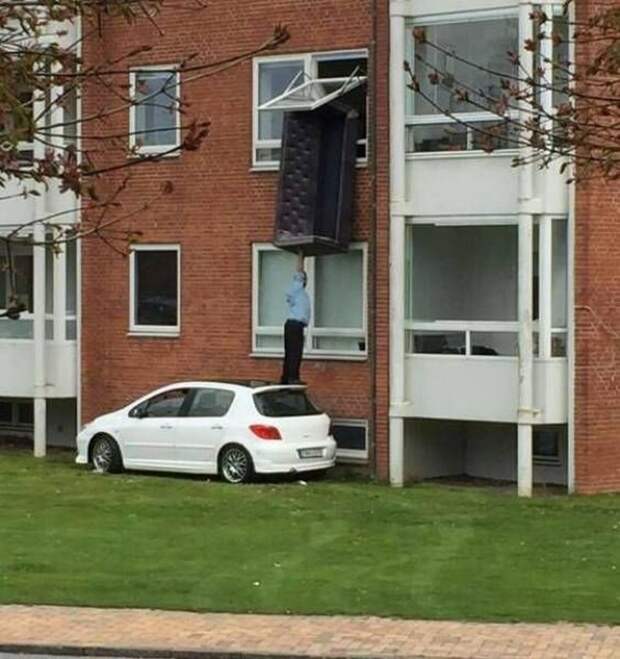 прикольные картинки