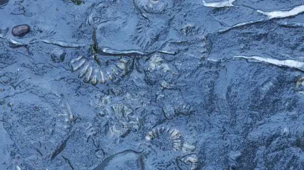 Закон сохранения энергии: почему лень может оказаться ключевым фактором в теории эволюции