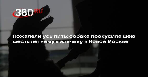 Mash: в Новой Москве овчарка напала на шестилетнего ребенка и покусала хозяина