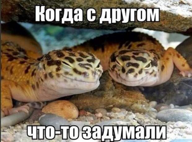 Прикольные картинки, ну наконец-то пятница! (25 шт)