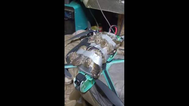 Российский военный привязал живых окопных мышей к БПЛА