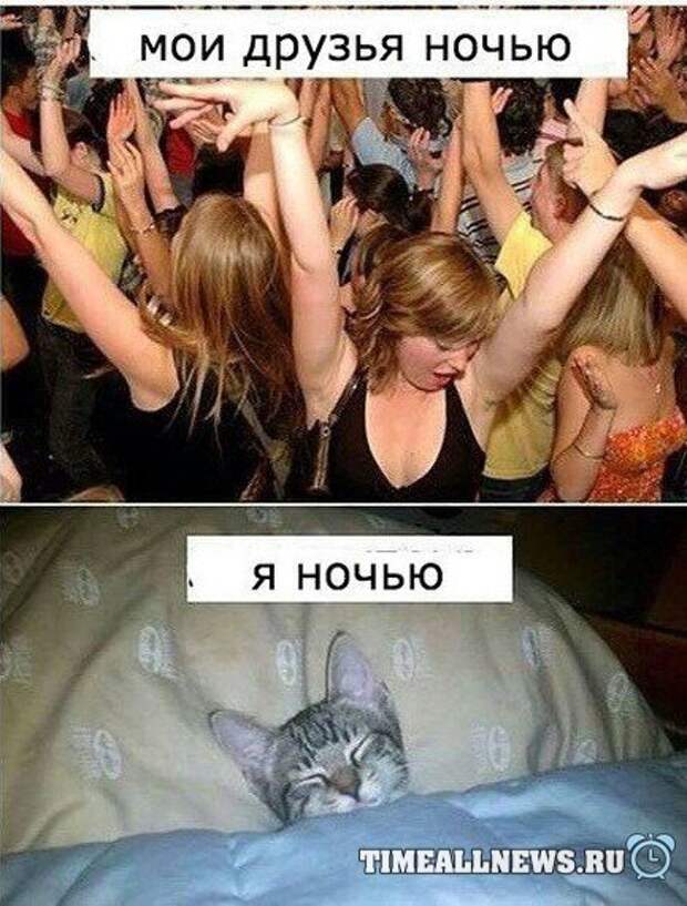 Прикольные картинки (88 фото) Прикольные картинки (88 фото)