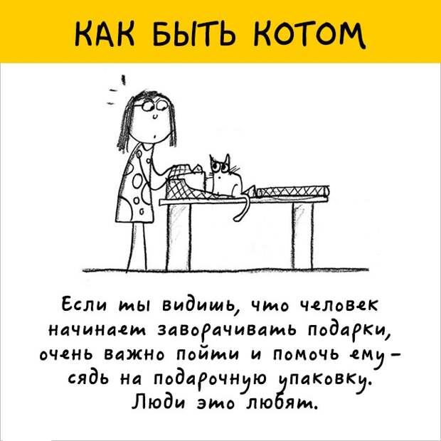 как правильно быть котом