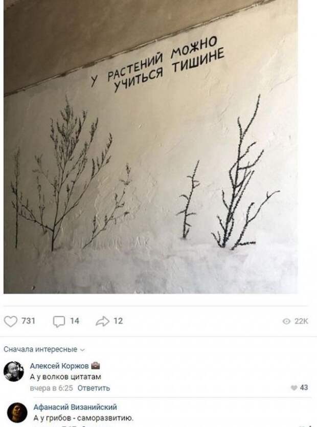 www.vsyako.net