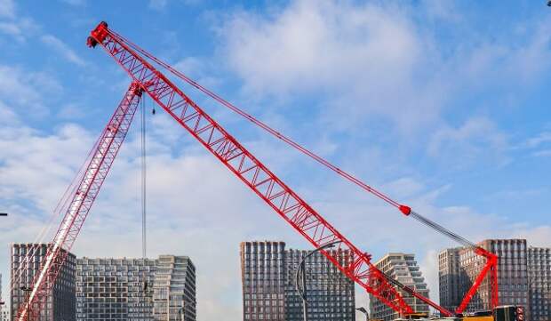 Площадь освобожденной от самостроя территории составила более 4,6 га