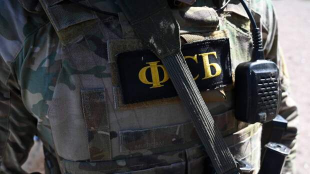 ФСБ сообщила о задержании 106 неонацистов в 37 регионах России
