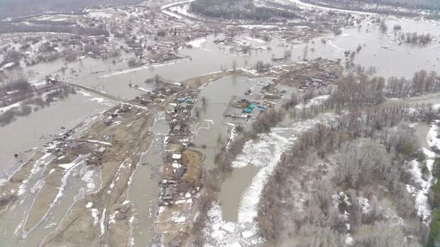 Паводковые воды подтопили село Шипицино Алтайского края