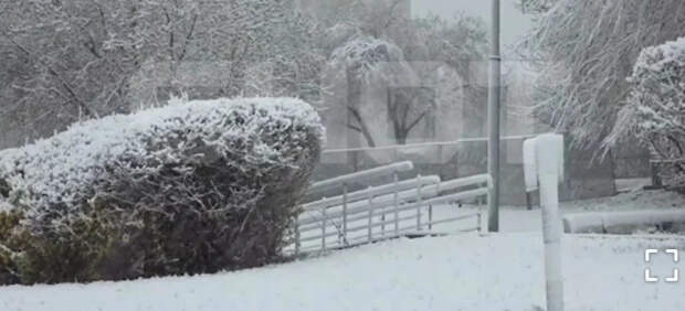 Зима вернулась в апреле: Последствия снегопада в Москве сняли на видео