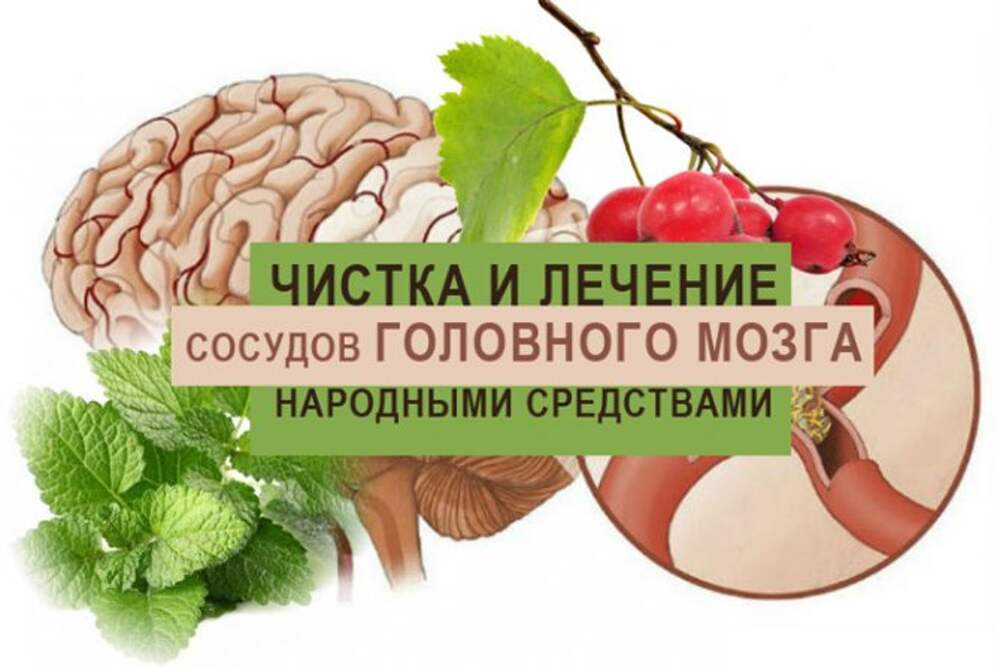 Нар средство. Средства от атеросклероза сосудов головного мозга. Очищение сосудов головного мозга. Народные средства от сосудов головного мозга.