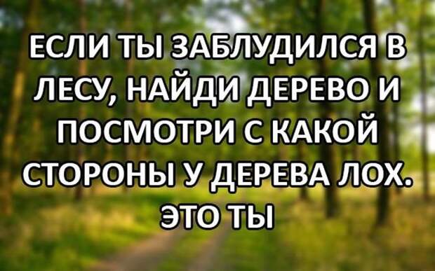 Фото приколы (46 фото)