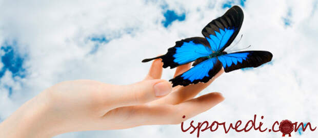 воспоминание о первой любви