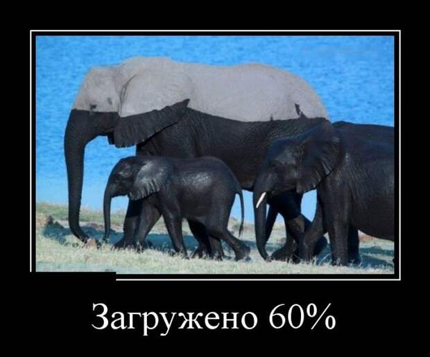 Демотиваторы