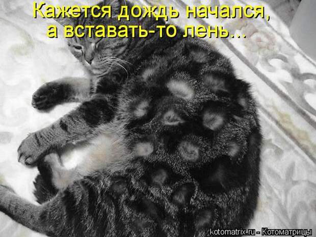 Мысли вслух :)