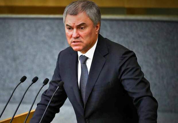 Вот все-таки Вячеслав Володин - молодец. Молодец! У него болит душа за наше общество. И не у него одного!-3