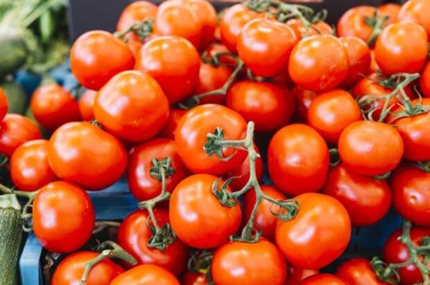 Как вырастить вкусные помидоры и увеличить их урожай в 2 раза: гарантированный результат