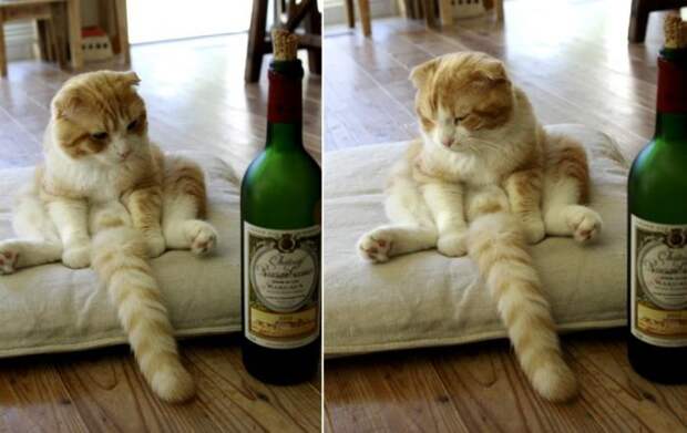 Давайте улыбаться вместе! :) (31повод)