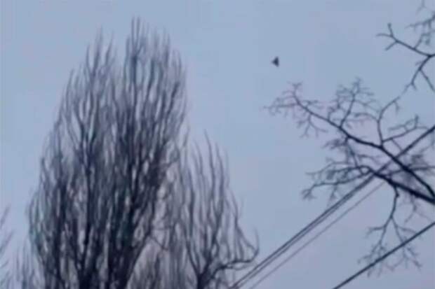 В Киев впервые прилетели дроны БМ-35 «Италмас», их сняли очевидцы