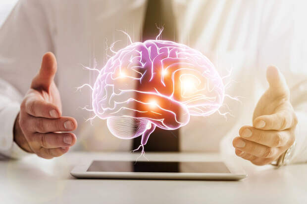 Nature Aging: белок FTL1 ускоряет старение мозга