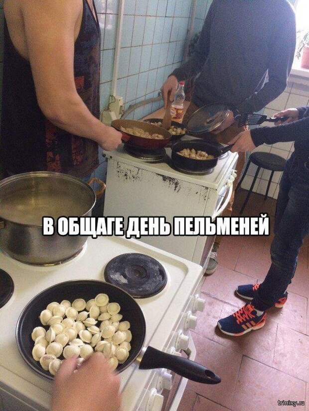 Смешные картинки с надписями