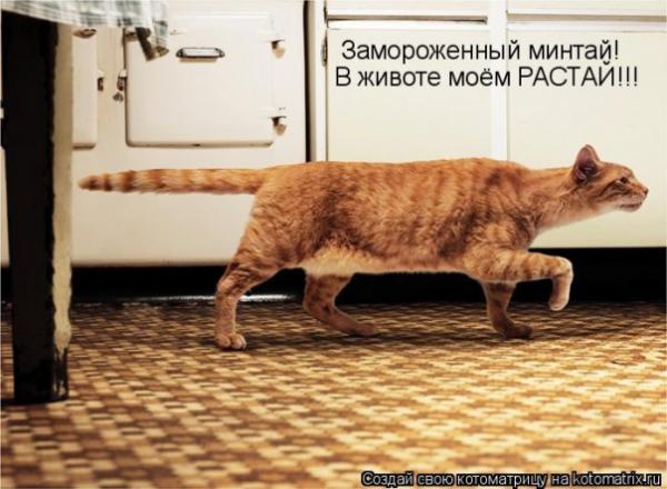 Мысли вслух :)
