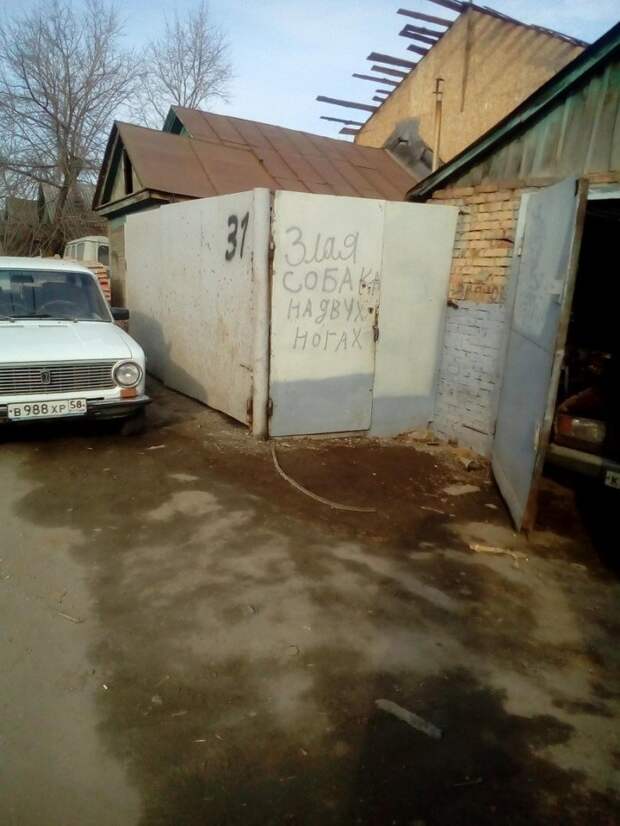 Сумасшедшая Пенза, которая не дает расслабиться Сумасшедшая Пенза, которая не дает расслабиться