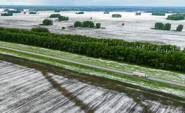 Картошку не сажать! Внезапные холода и снег заставили аграриев считать будущие убытки